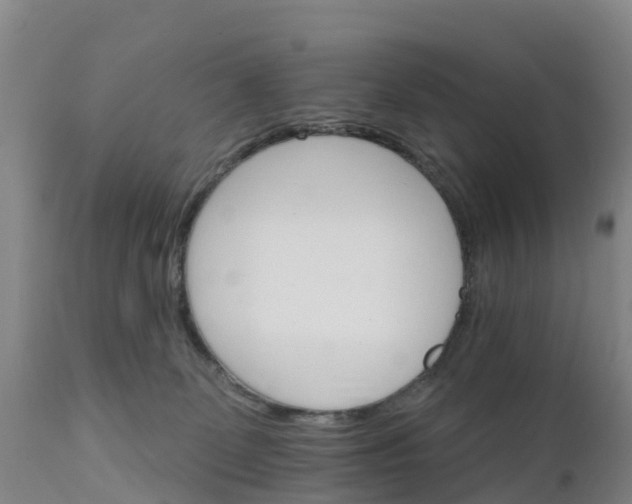 X0000111800131200908131445