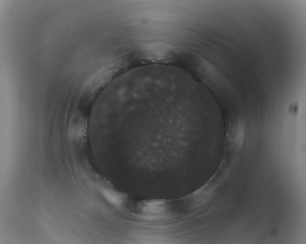 X0000111800132200908131445