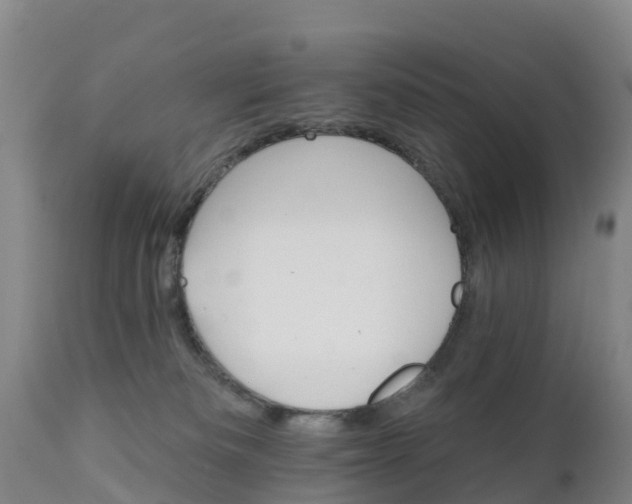 X0000111800133200908131445