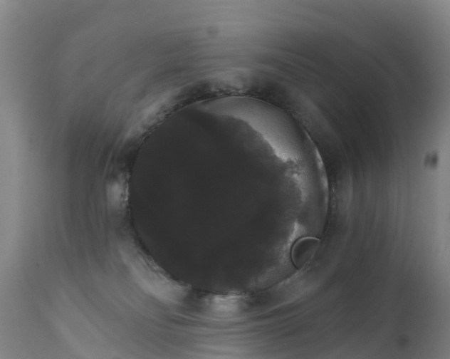 X0000111800134200908131445