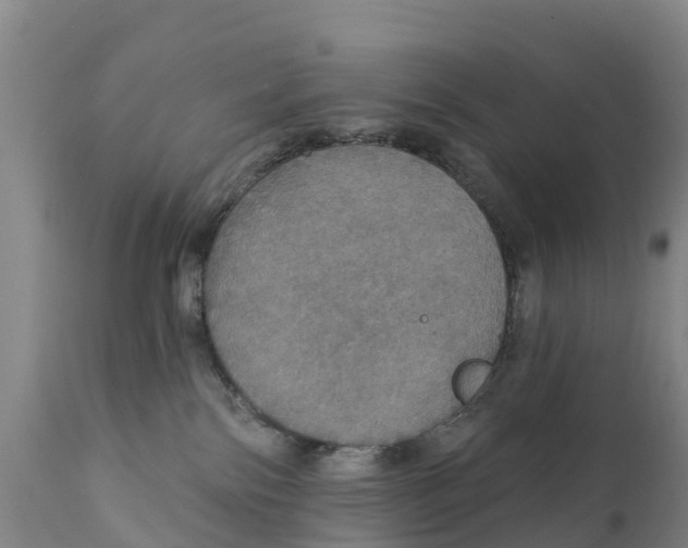 X0000111800138200908131445