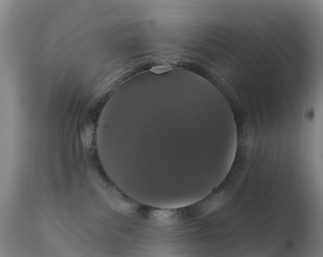 X0000111800139200908131445