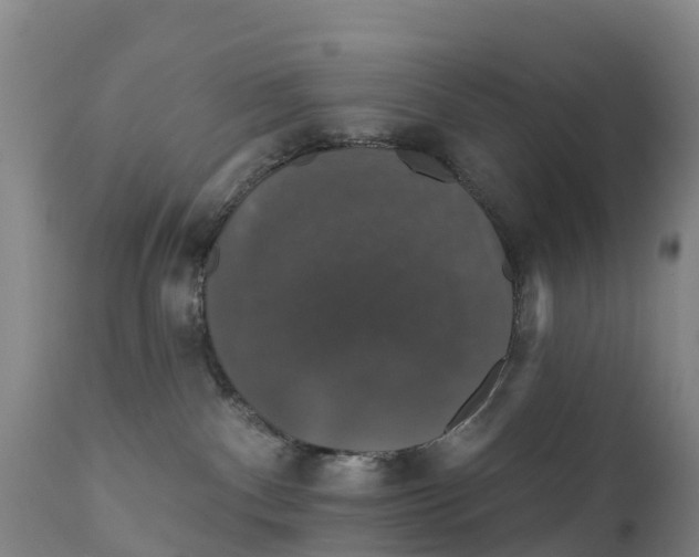 X0000111800140200908131445