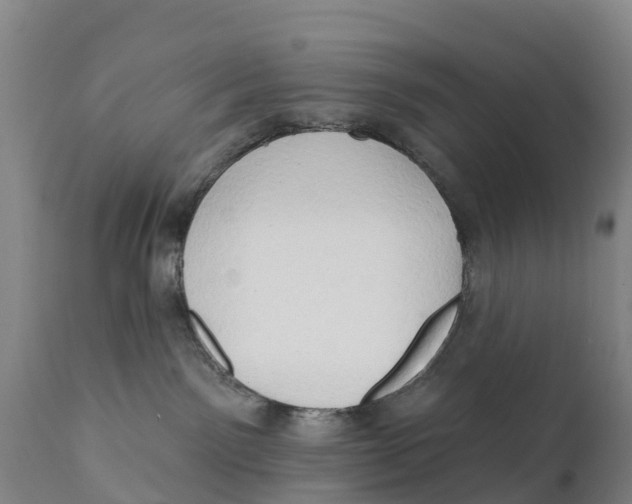 X0000111800141200908131445
