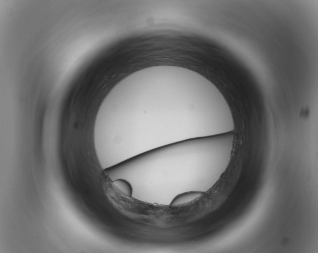 X0000111800143200908131445