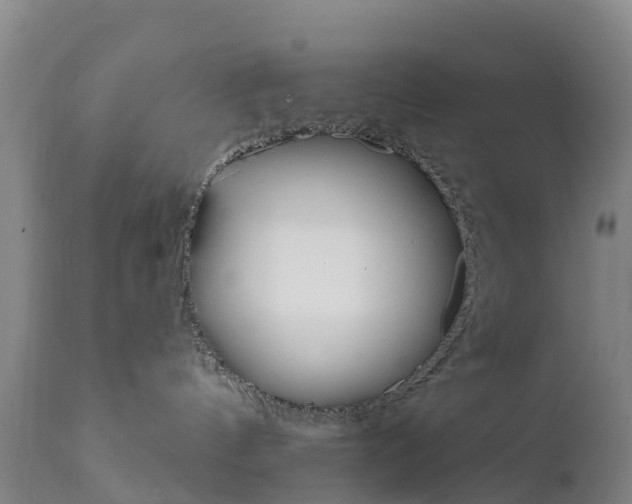 X0000111800144200908131444