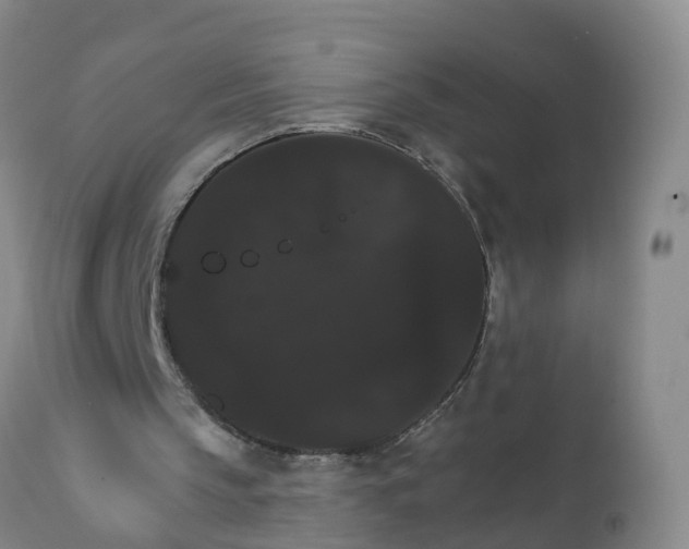 X0000111800145200908131444