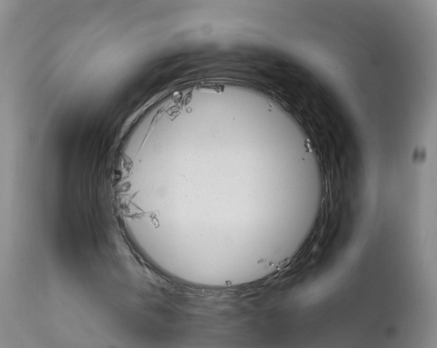 X0000111800146200908131444