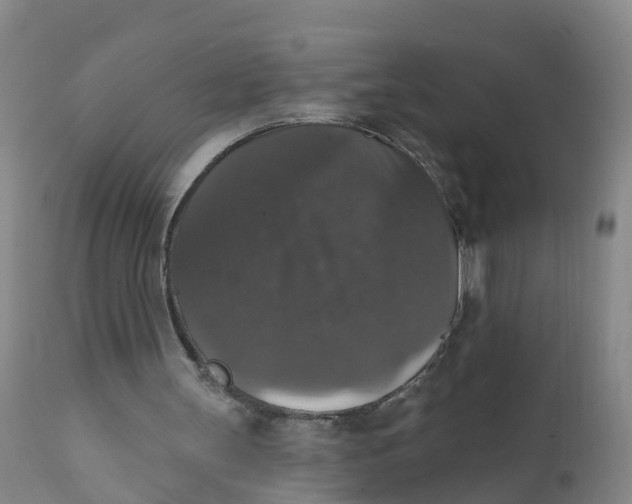 X0000111800147200908131444