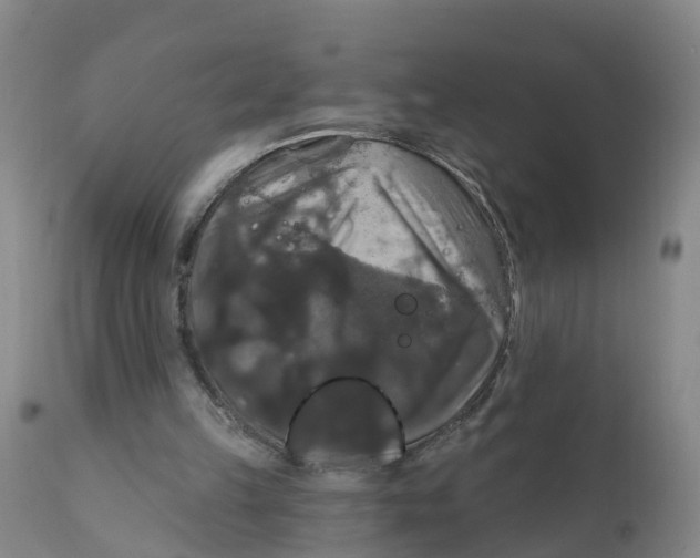 X0000111800149200908131444