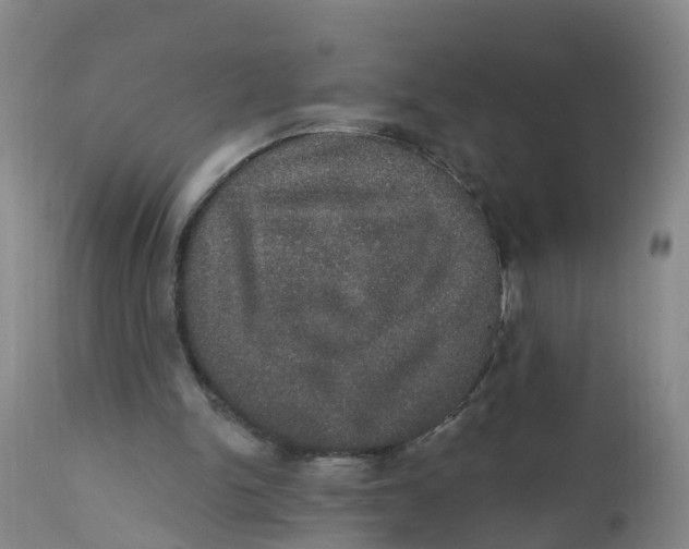 X0000111800150200908131444