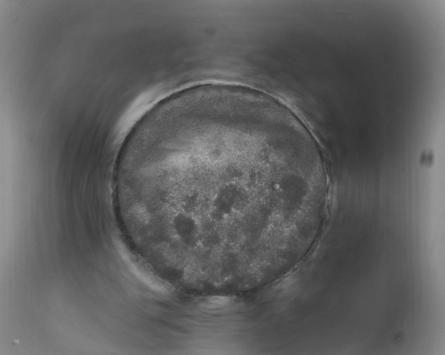 X0000111800151200908131444