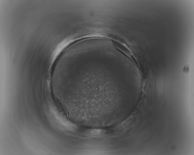 X0000111800152200908131444