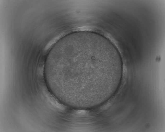 X0000111800153200908131444