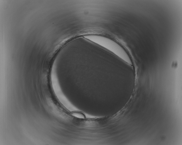 X0000111800154200908131444
