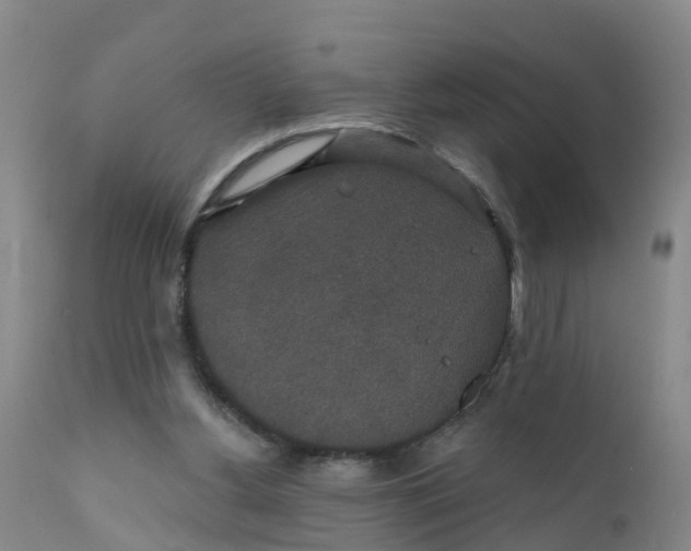 X0000111800156200908131444