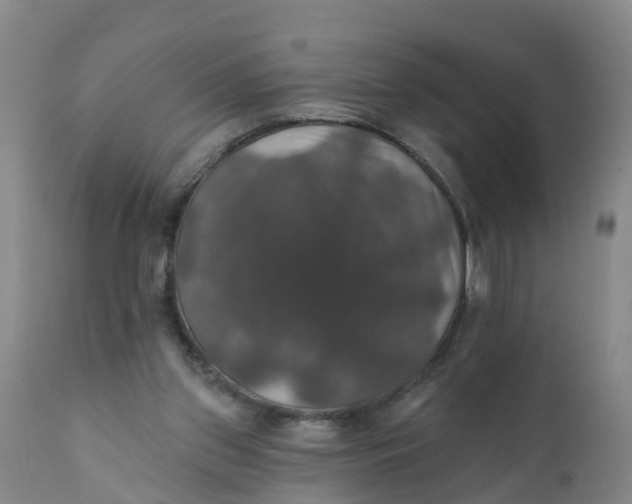 X0000111800157200908131444