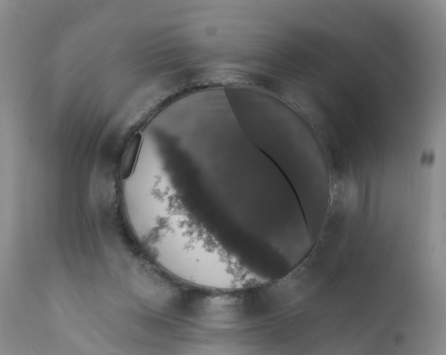 X0000111800158200908131444