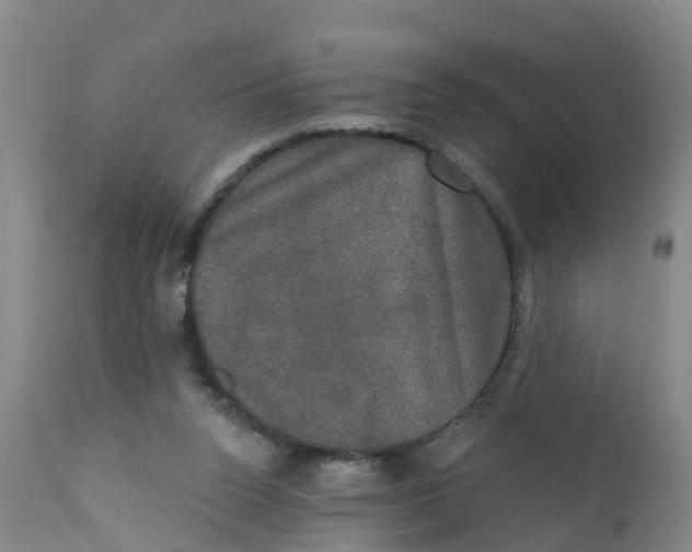 X0000111800160200908131444