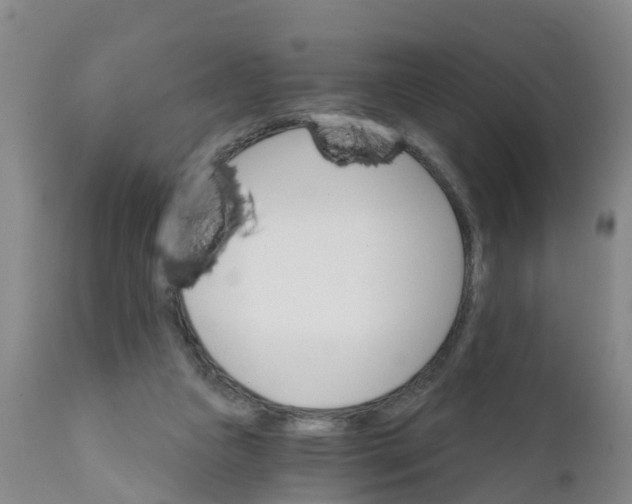 X0000111800161200908131444