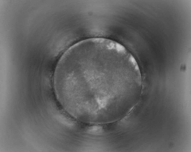 X0000111800162200908131444