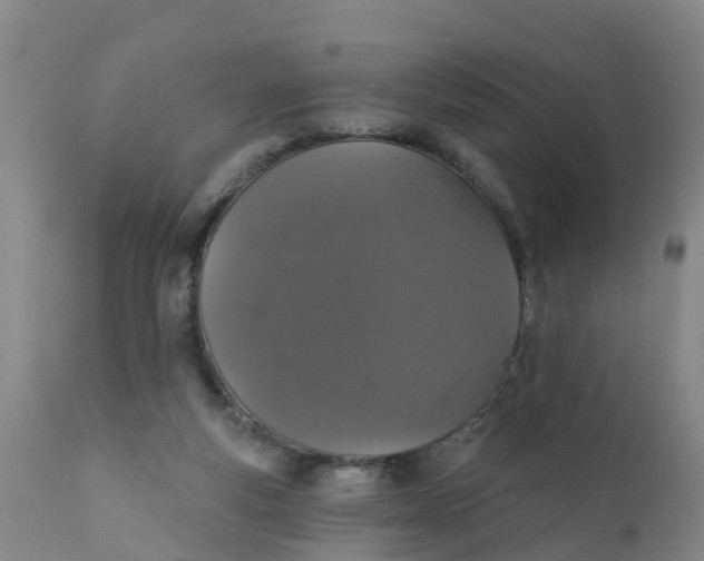 X0000111800163200908131444