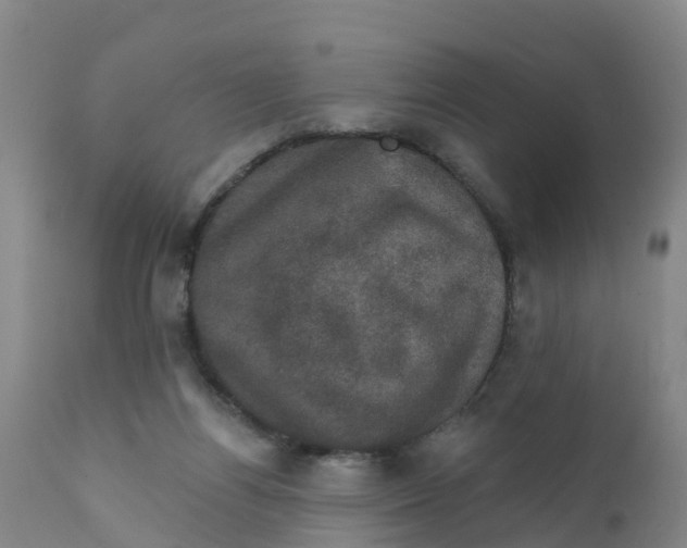 X0000111800164200908131444