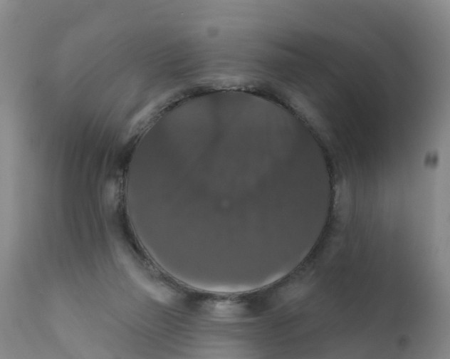 X0000111800165200908131444