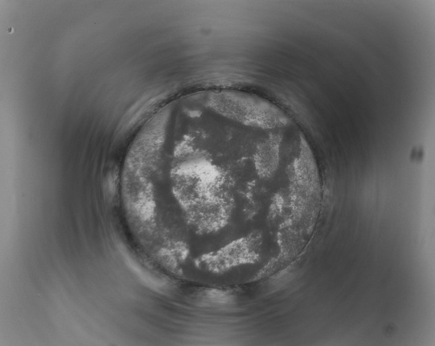 X0000111800166200908131444