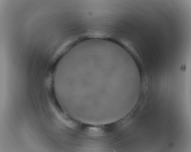 X0000111800167200908131444