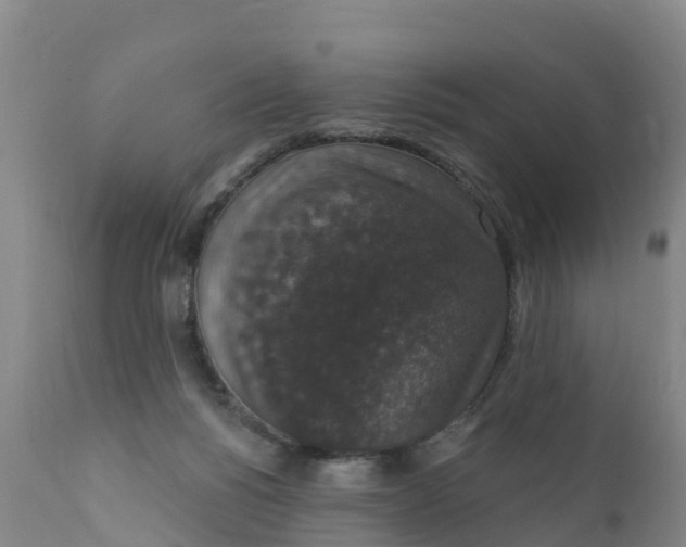 X0000111800168200908131444