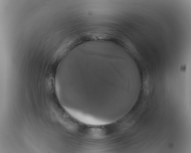 X0000111800169200908131444