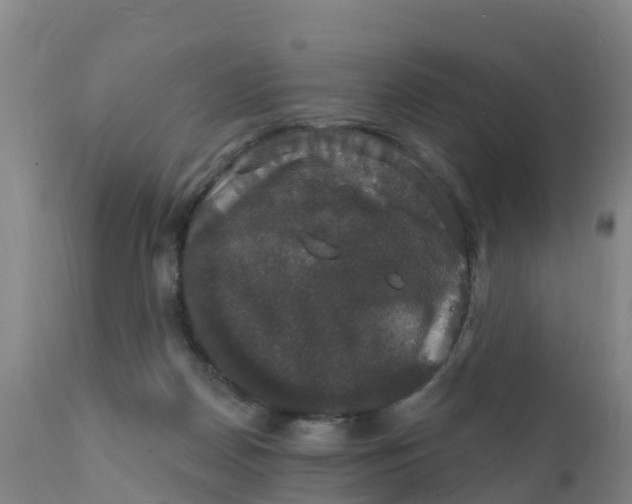 X0000111800170200908131444