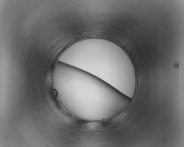 X0000111800172200908131444