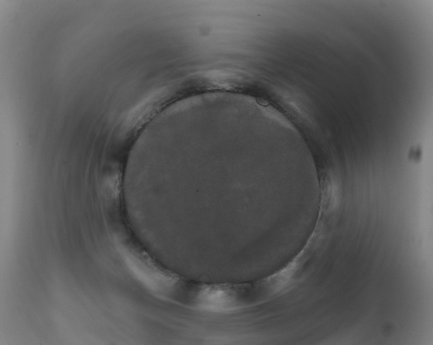 X0000111800174200908131444