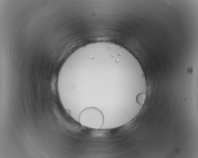 X0000111800175200908131444