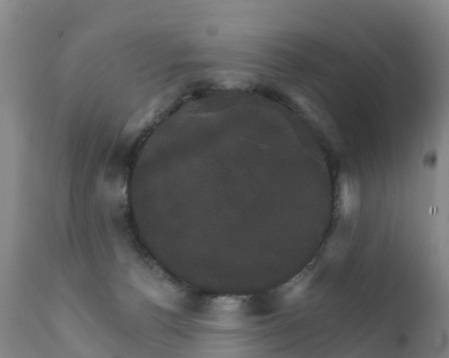 X0000111800176200908131444