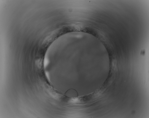 X0000111800177200908131444