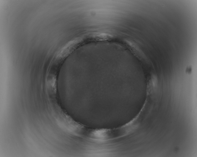 X0000111800178200908131444