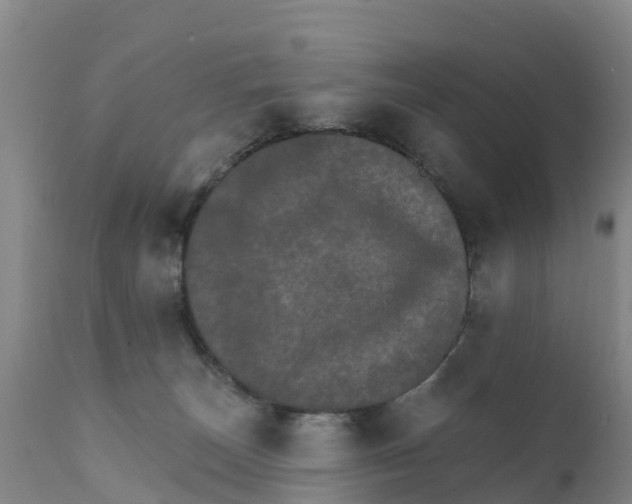 X0000111800179200908131444
