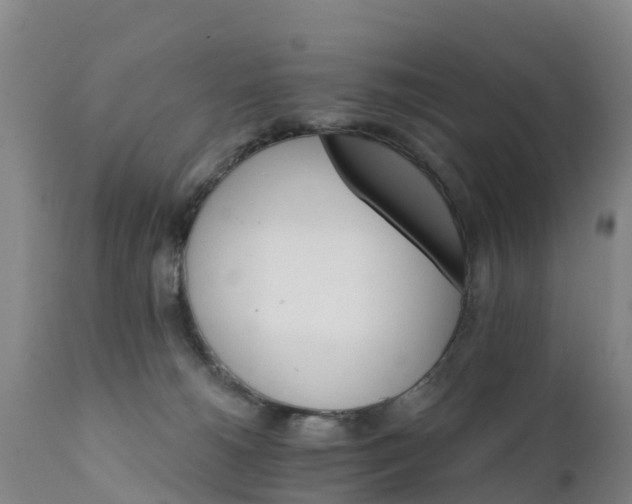 X0000111800180200908131444