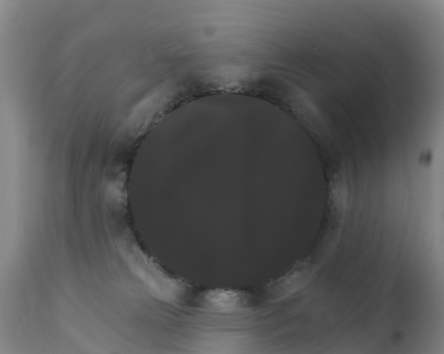 X0000111800181200908131444