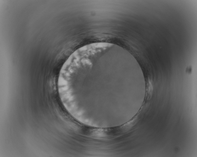 X0000111800182200908131444