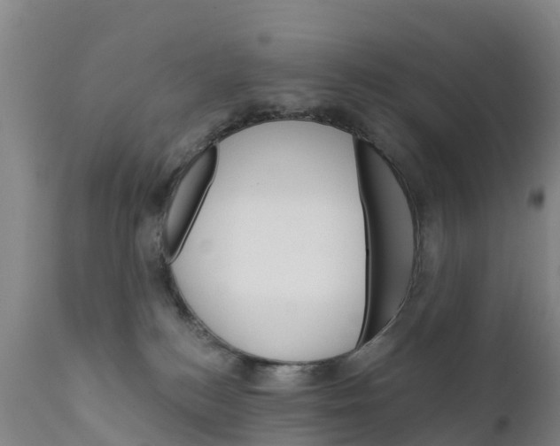 X0000111800184200908131444