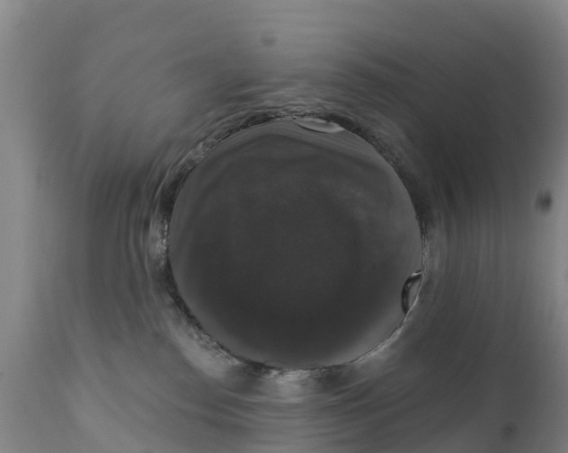 X0000111800186200908131444