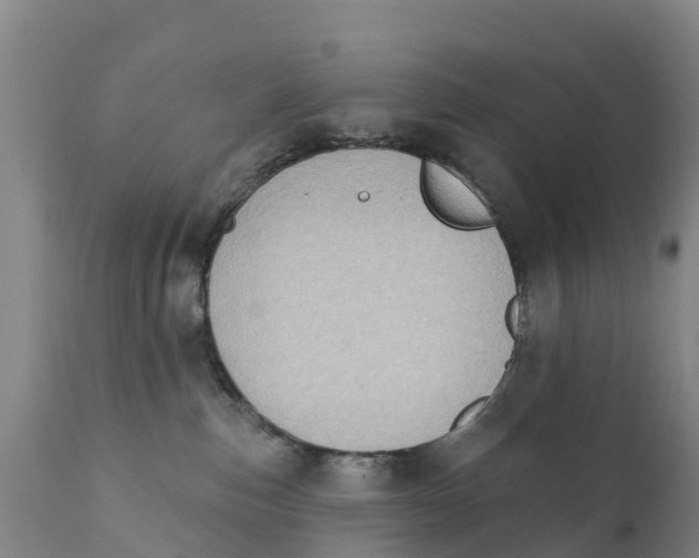X0000111800187200908131444