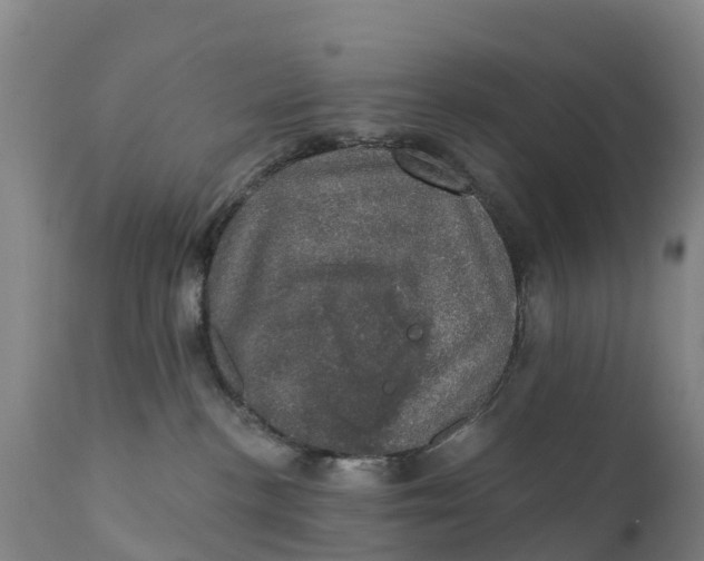 X0000111800188200908131444