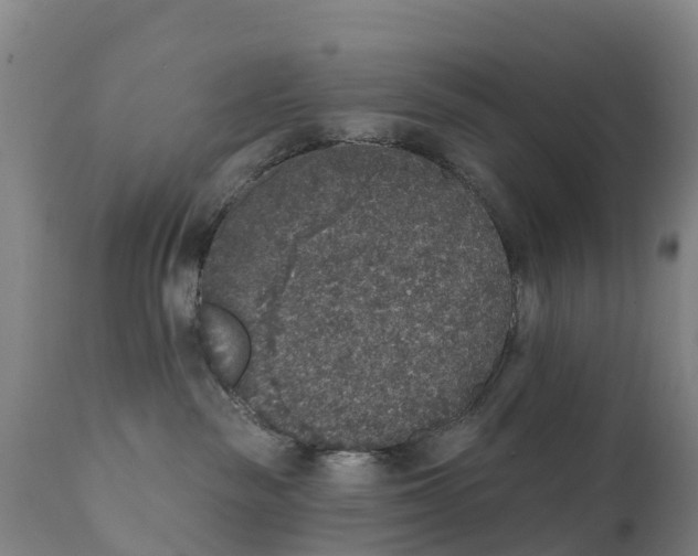 X0000111800189200908131444