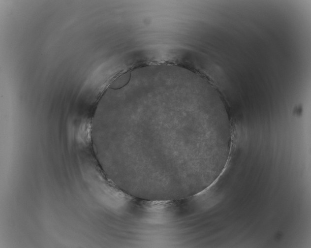 X0000111800191200908131444