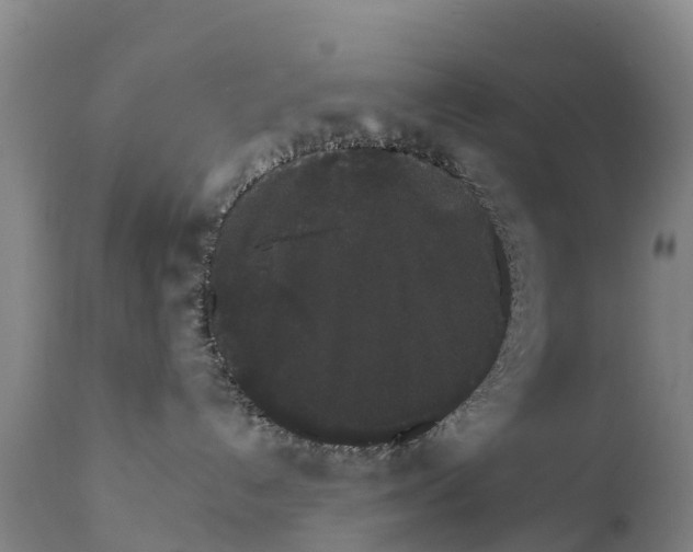 X0000111800192200908131444